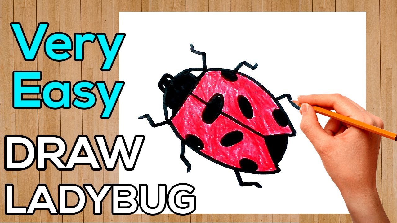 1280x720 How To Draw A Ladybug In Minute