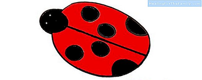 650x259 How To Draw A Picture Of A Ladybird Step