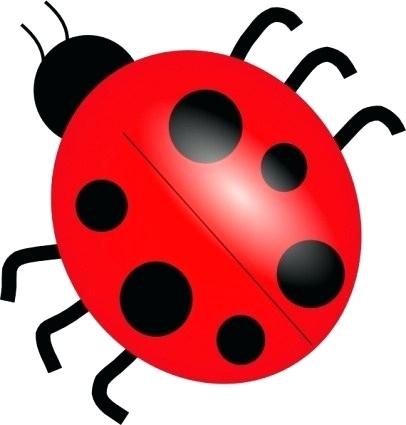 406x425 Lady Bug Drawings