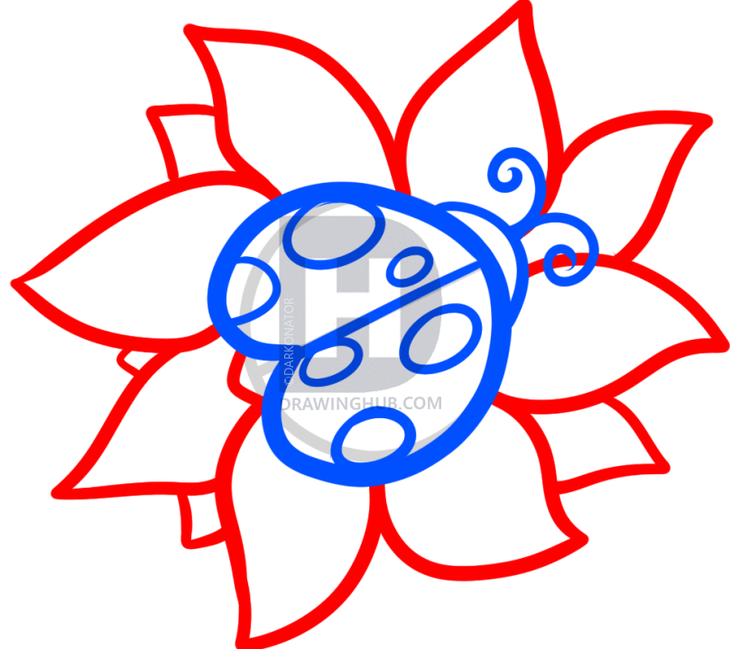809x720 How To Draw A Ladybug Tattoo, Tattoo Ladybug, Step