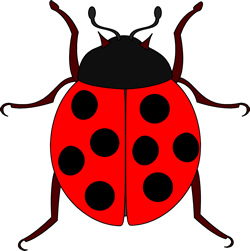 250x251 Ladybug Tattoo Design Ideas