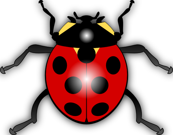600x468 Ladybug Tattoo Designs