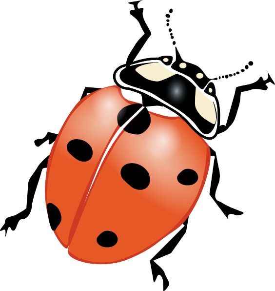 564x596 Ladybug Tattoo Drawing