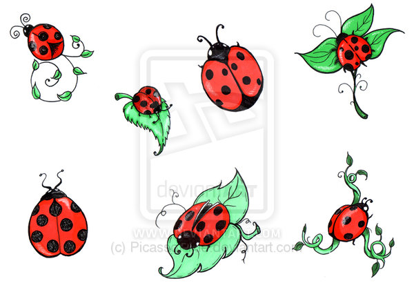 600x420 Ladybug Tattoo Drawing