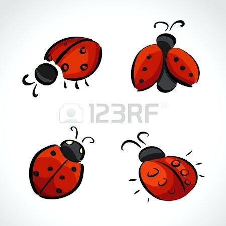 450x450 How To Draw A Ladybug Flying