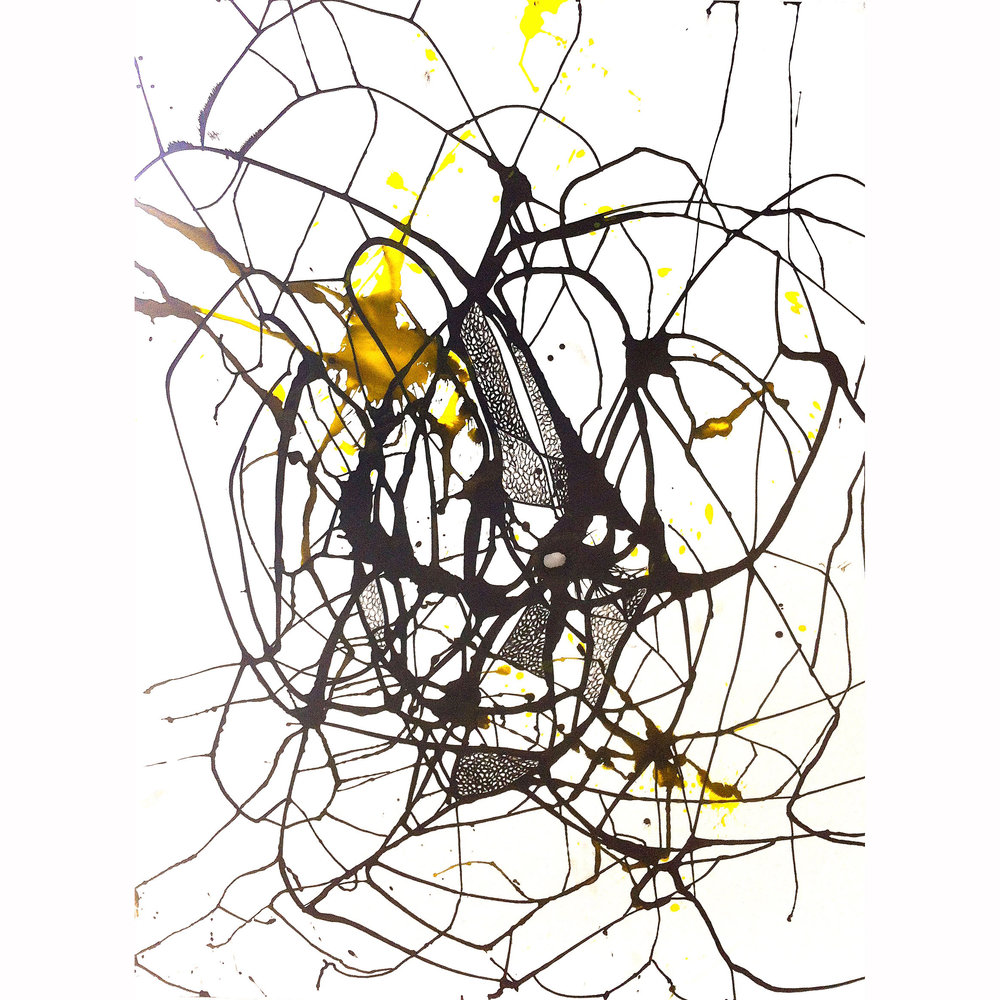 1000x1000 Drawing Jack Cornell Embree Lake