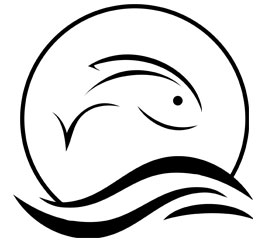 265x244 Fish Stories