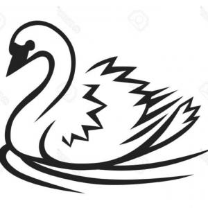 300x300 Swan Landing Line Drawing Vector Clipart Createmepink