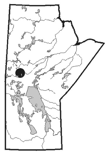 366x523 De Cas Photo Lake