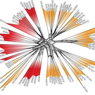 320x320 Neighbornet Of Lake Donggi Cona Radix Specimens Based On Aflp