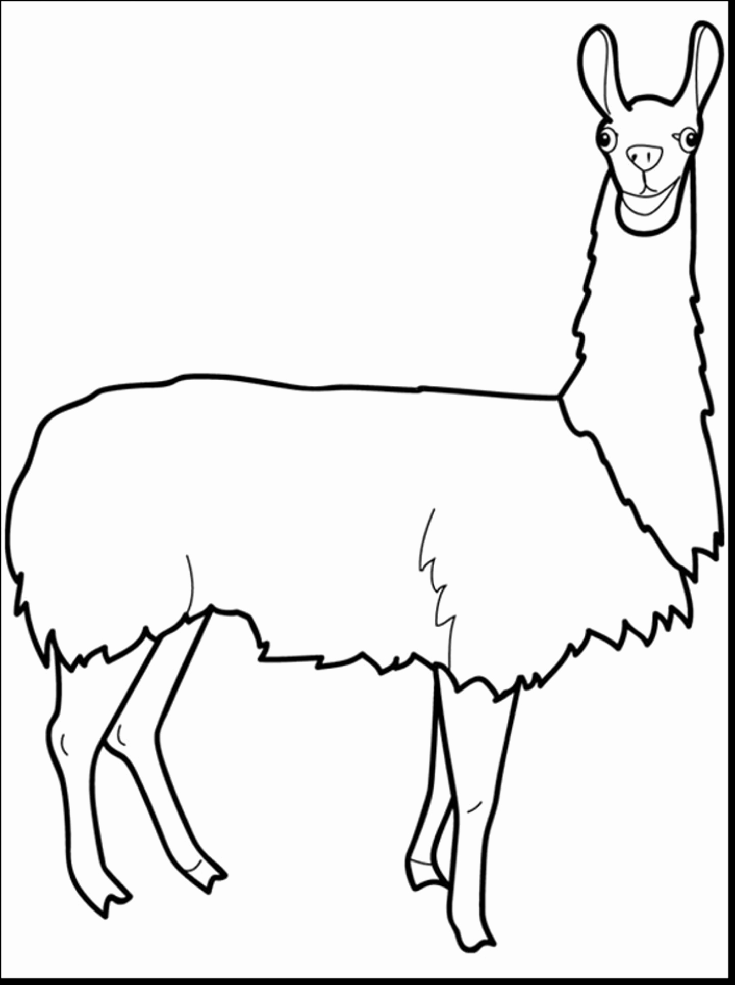 1441x1930 Lama Clipart Black And White