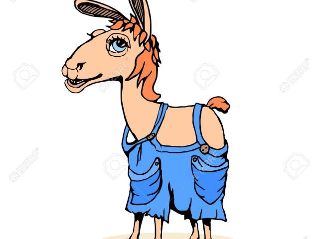 640x480 Lama Clipart Drawing