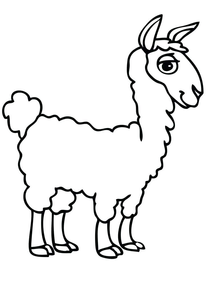 Lama Drawing | Free download on ClipArtMag