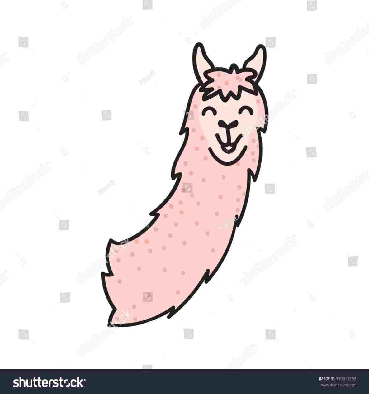 1185x1264 Llama Face Drawing