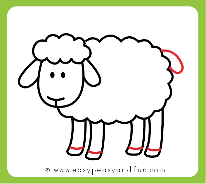 705x628 How To Draw A Sheep