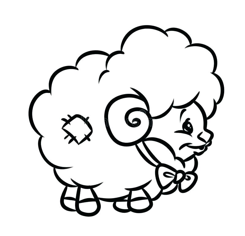 800x772 Sheep Drawing For Kids Pages O Draw A Cartoon Sheep Step Animals