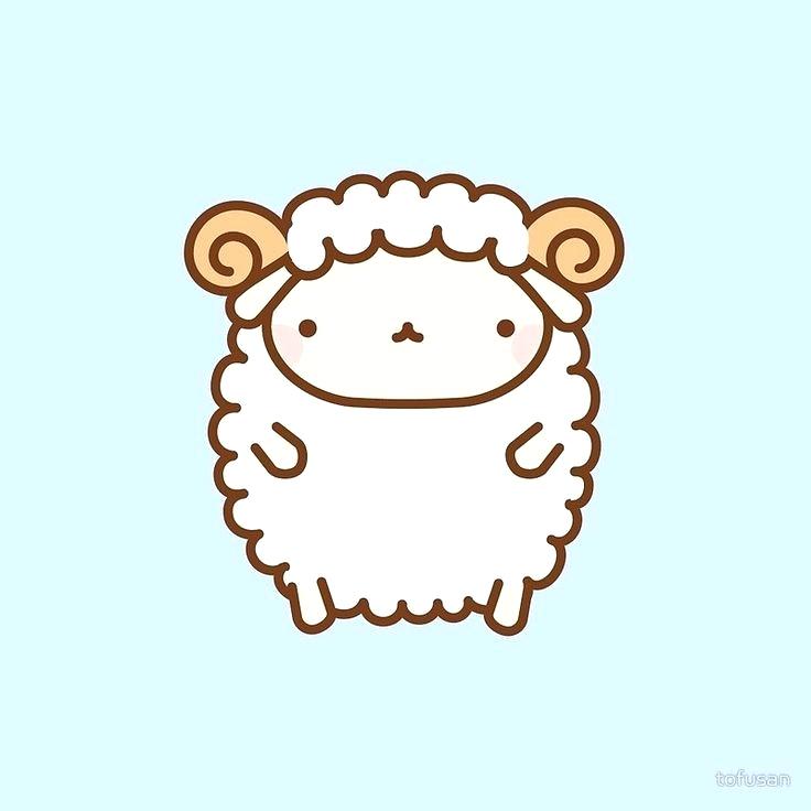 736x736 How To Draw A Lamb Step