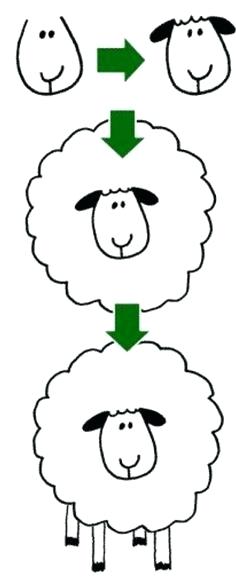 236x587 Draw Lamb Adding The Shape Of The Neck Draw Lamb Easy