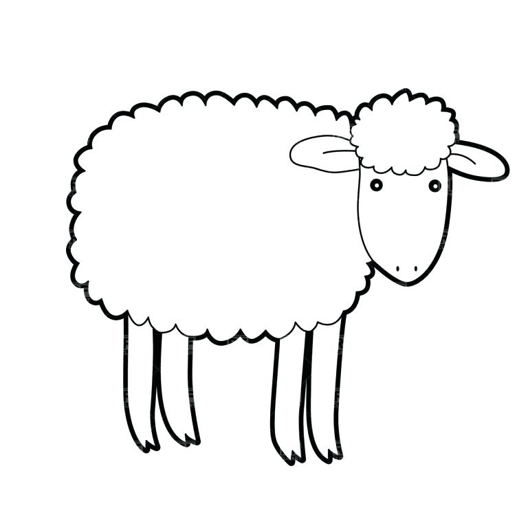 768x768 Free Sheep Pictures For Kids Download Free Clip Art Free Clip Art