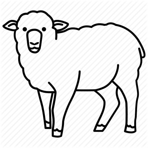 512x512 Drawing Sheep Wool Transparent Png Clipart Free Download