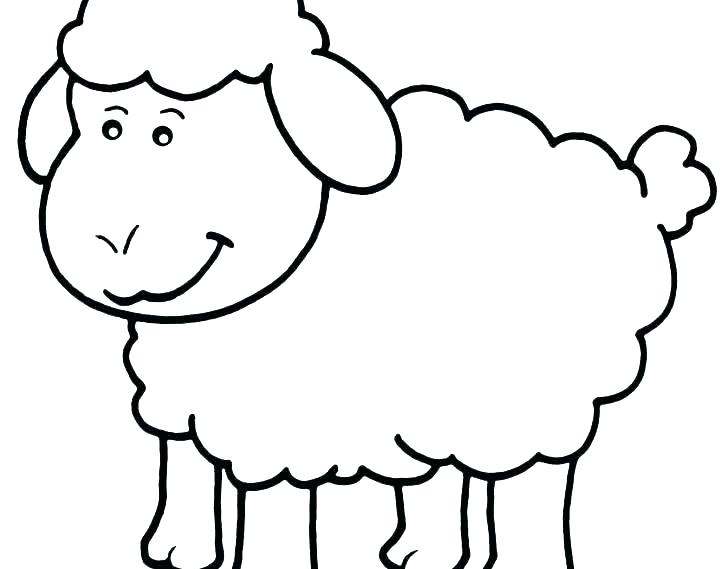 Lamb Drawing Images | Free download on ClipArtMag