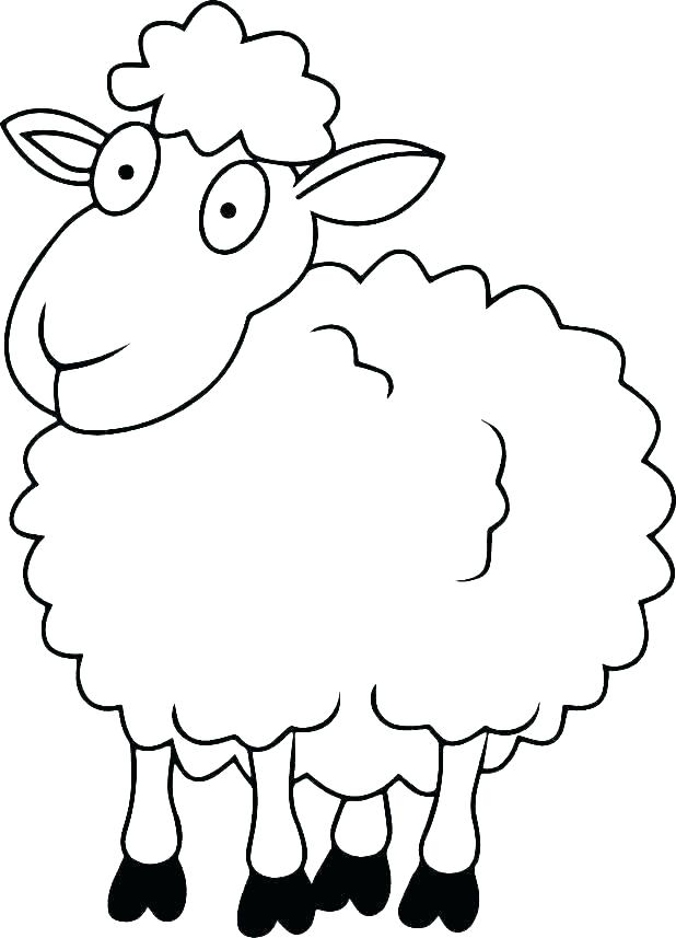 Lamb Drawing Images | Free download on ClipArtMag