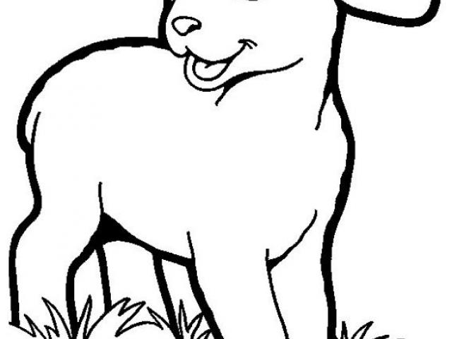 640x480 Free Drawn Lamb, Download Free Clip Art