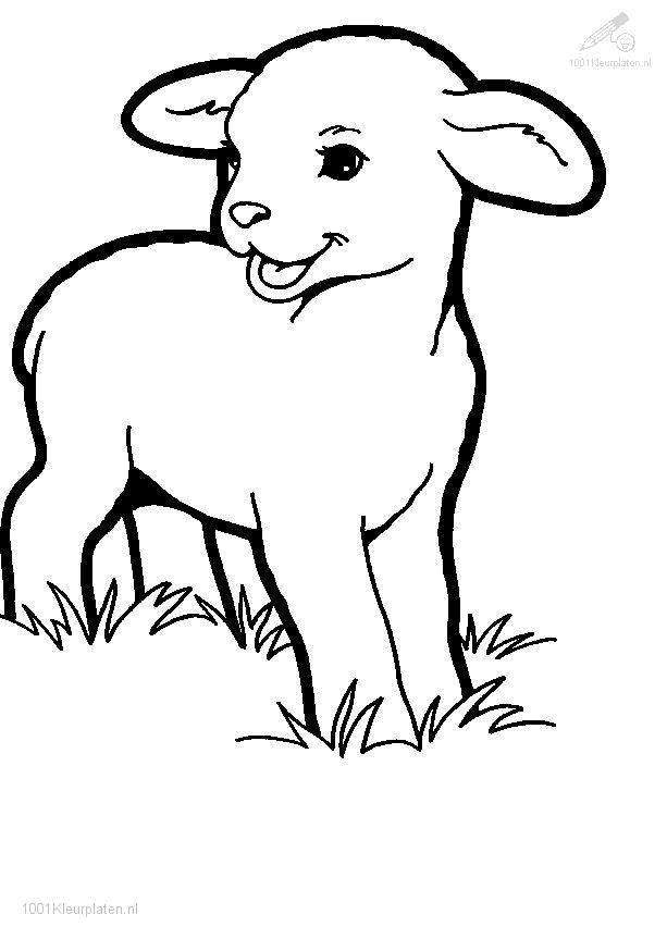 613x863 lamb coloring pages fresh lamb coloring