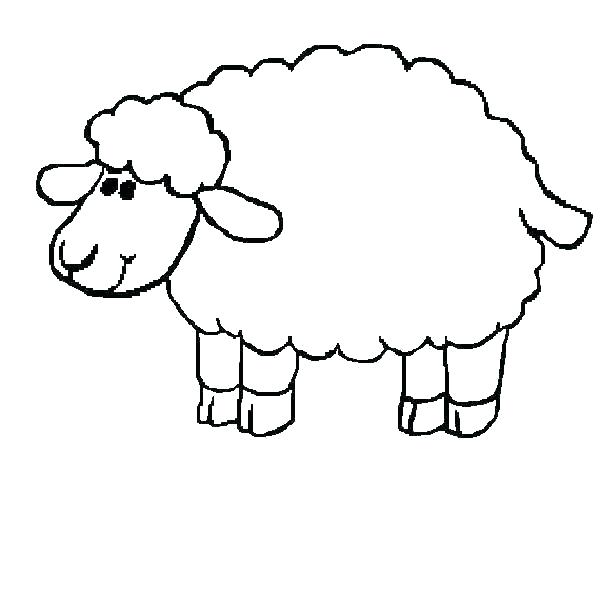 600x600 Lamb Coloring Sheet Lamb Coloring