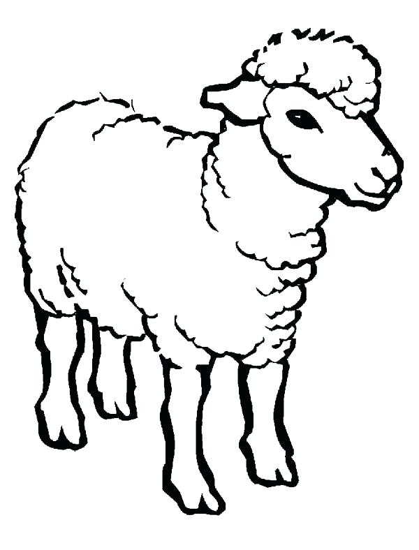 Lamb Outline Drawing | Free download on ClipArtMag