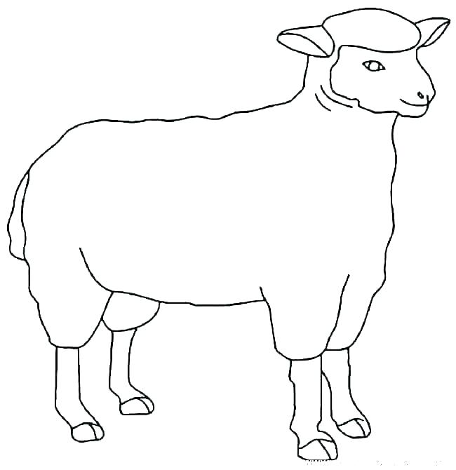 650x670 Lamb Coloring Pages Drawing Had A Little Lamb Coloring Pages Mary