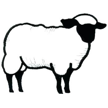 350x350 Sheep Lamb Outline Template For Activity Printable Pdf Outlined