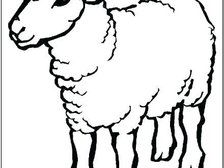 440x330 Sheep Outline Drawing Lamb Clip Art Coloring