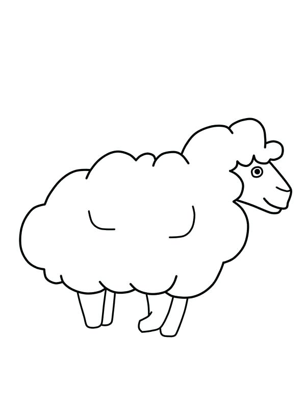 600x776 Sheep Face Drawing