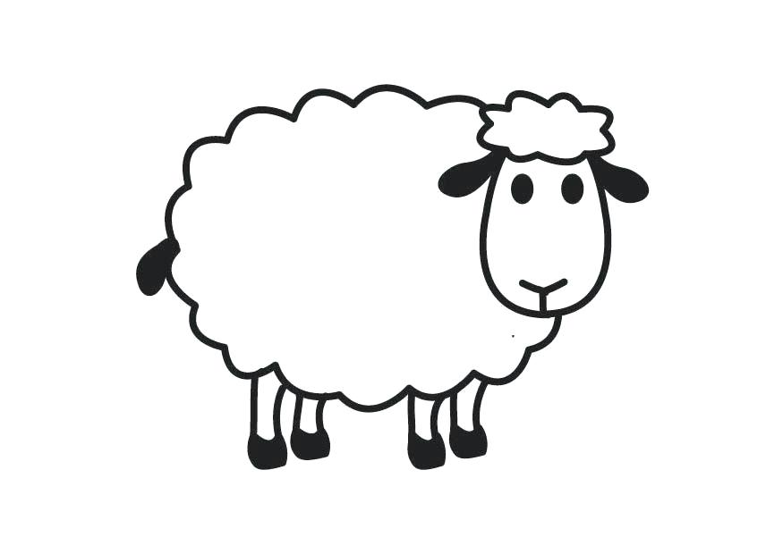 875x620 How To Draw A Lamb Sheep Line Drawing Library Free Images Draw
