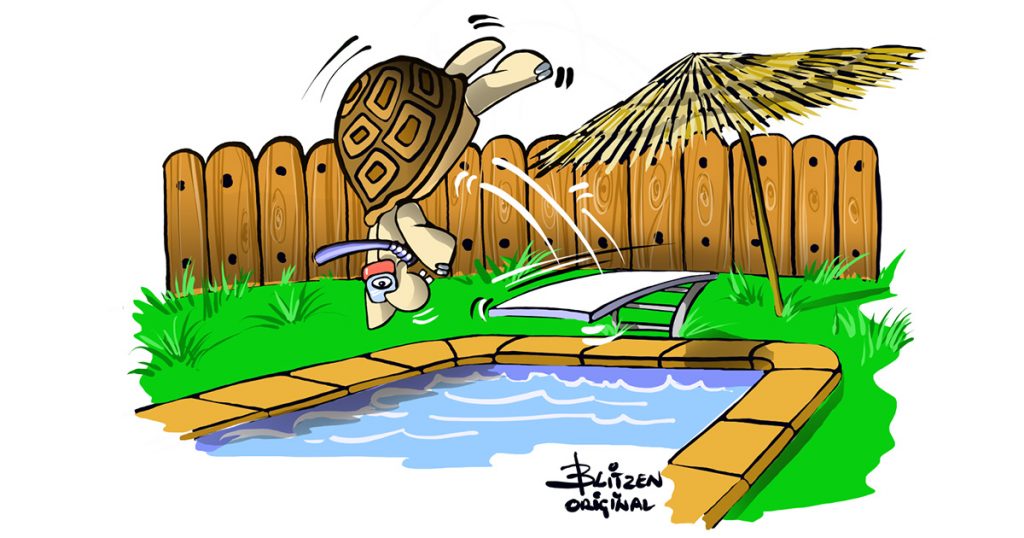 1024x538 How To Build A Land Turtle Enclosure In Steps