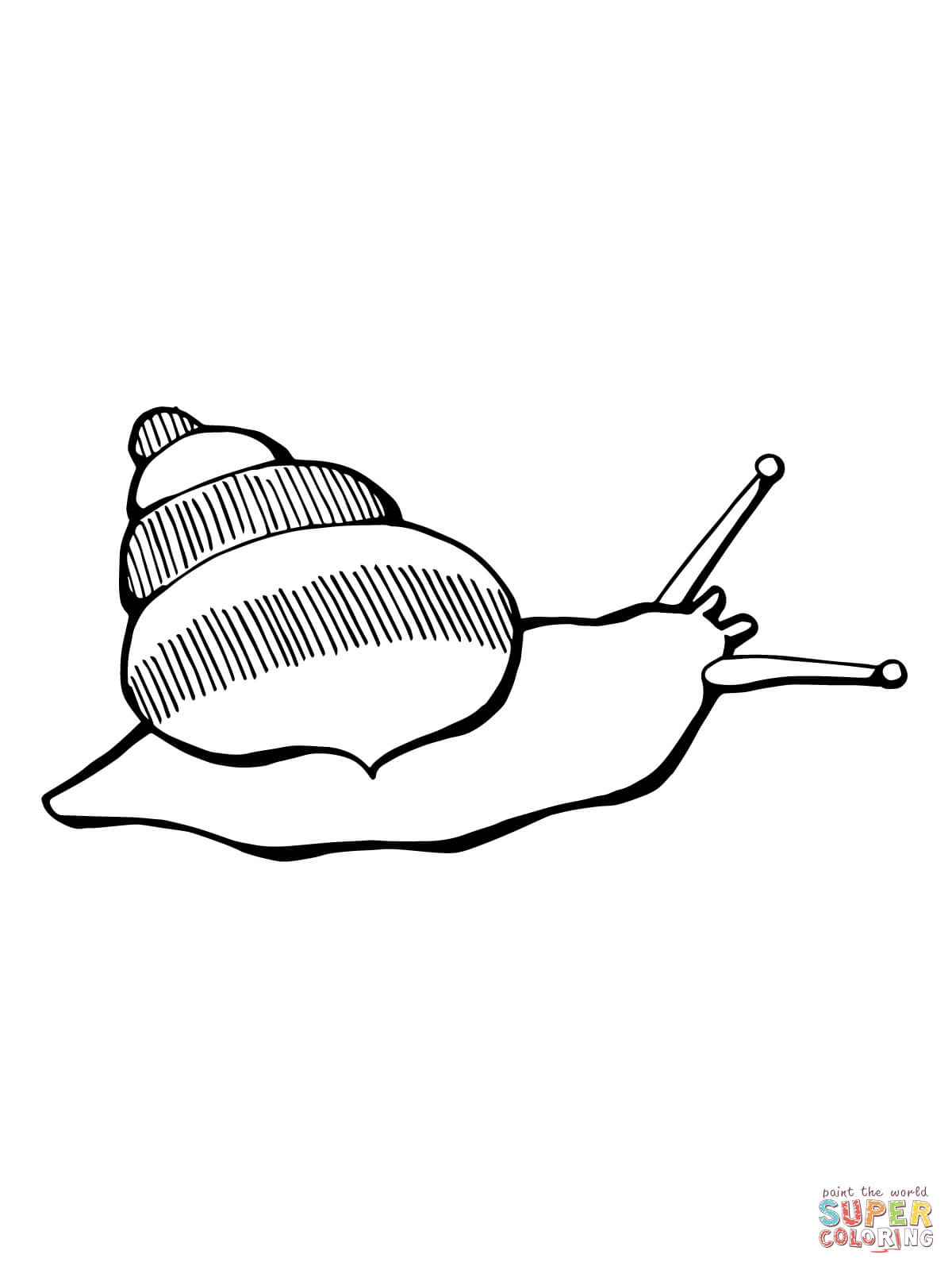 1200x1600 snail drawing land snail for free download