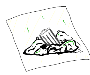 300x250 Landfill Museum