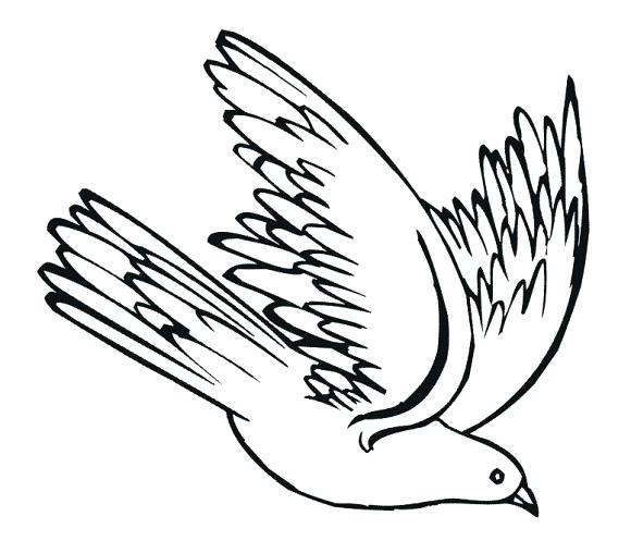 580x508 Pigeon Clipart Easy Draw