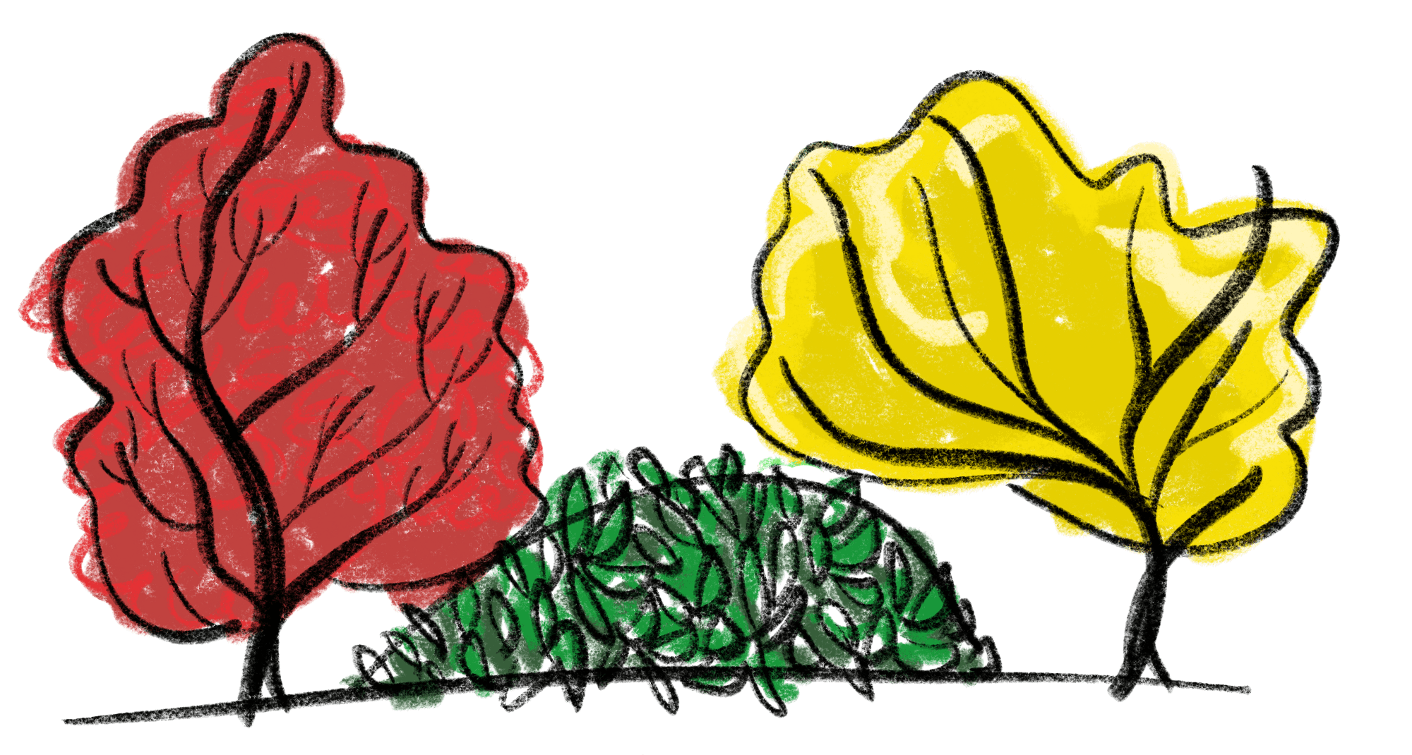 2000x1070 Site Empathy