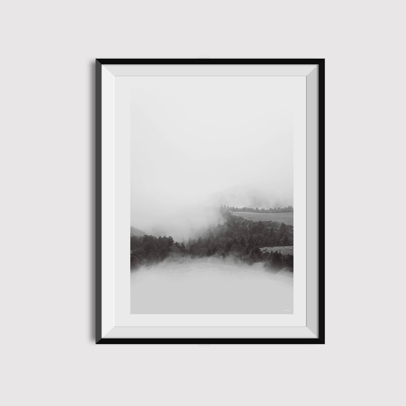 1611x1611 Black And White Landscape Photography Forest Minimalist Etsy