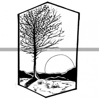324x324 Sunrise Landscape Pencillorum