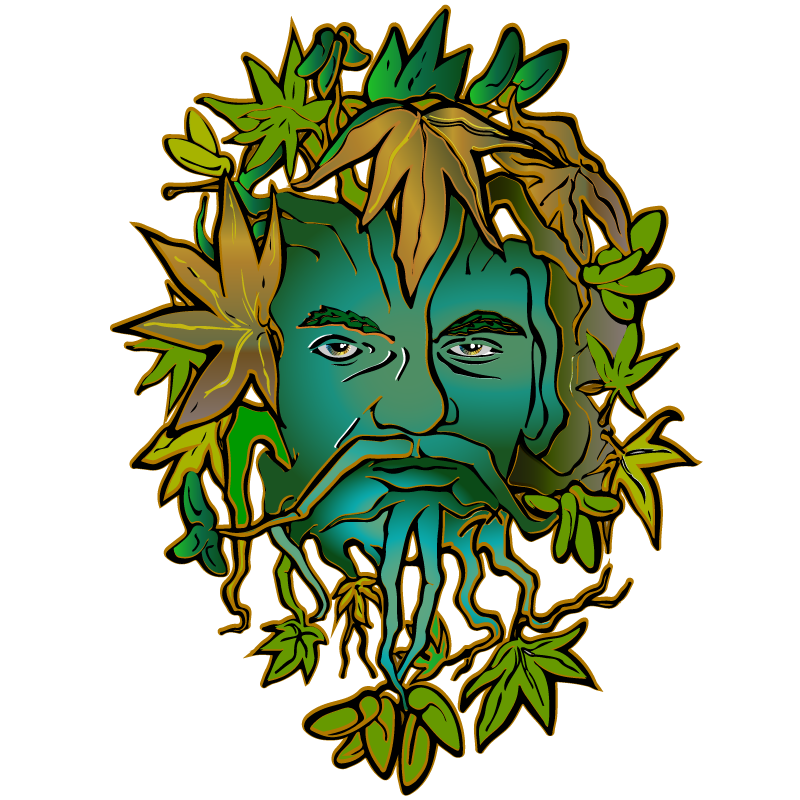 800x800 Landscape Design