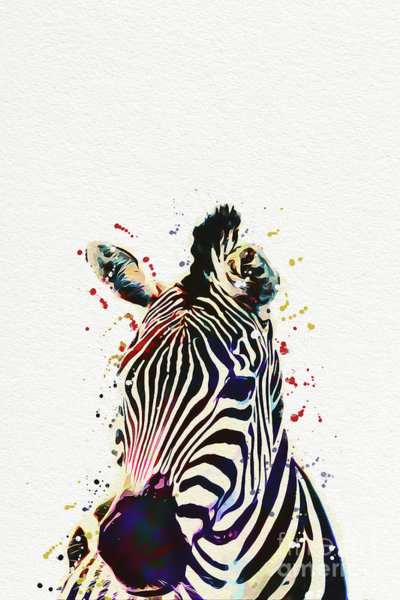 400x600 Prairie Landscape Drawings Fine Art America