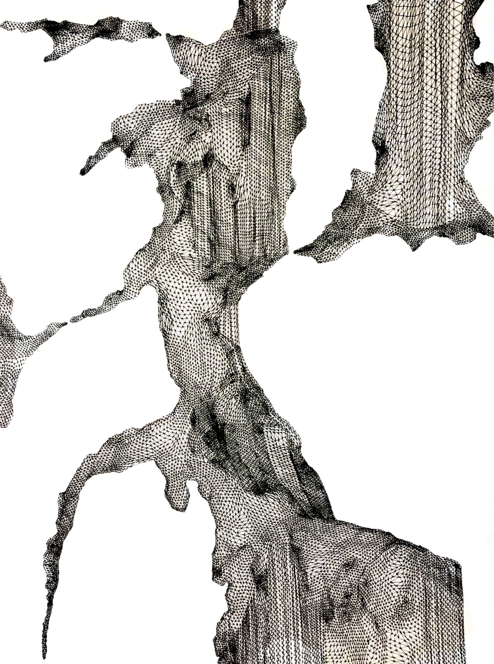 1000x1345 Two Dimensional K A G