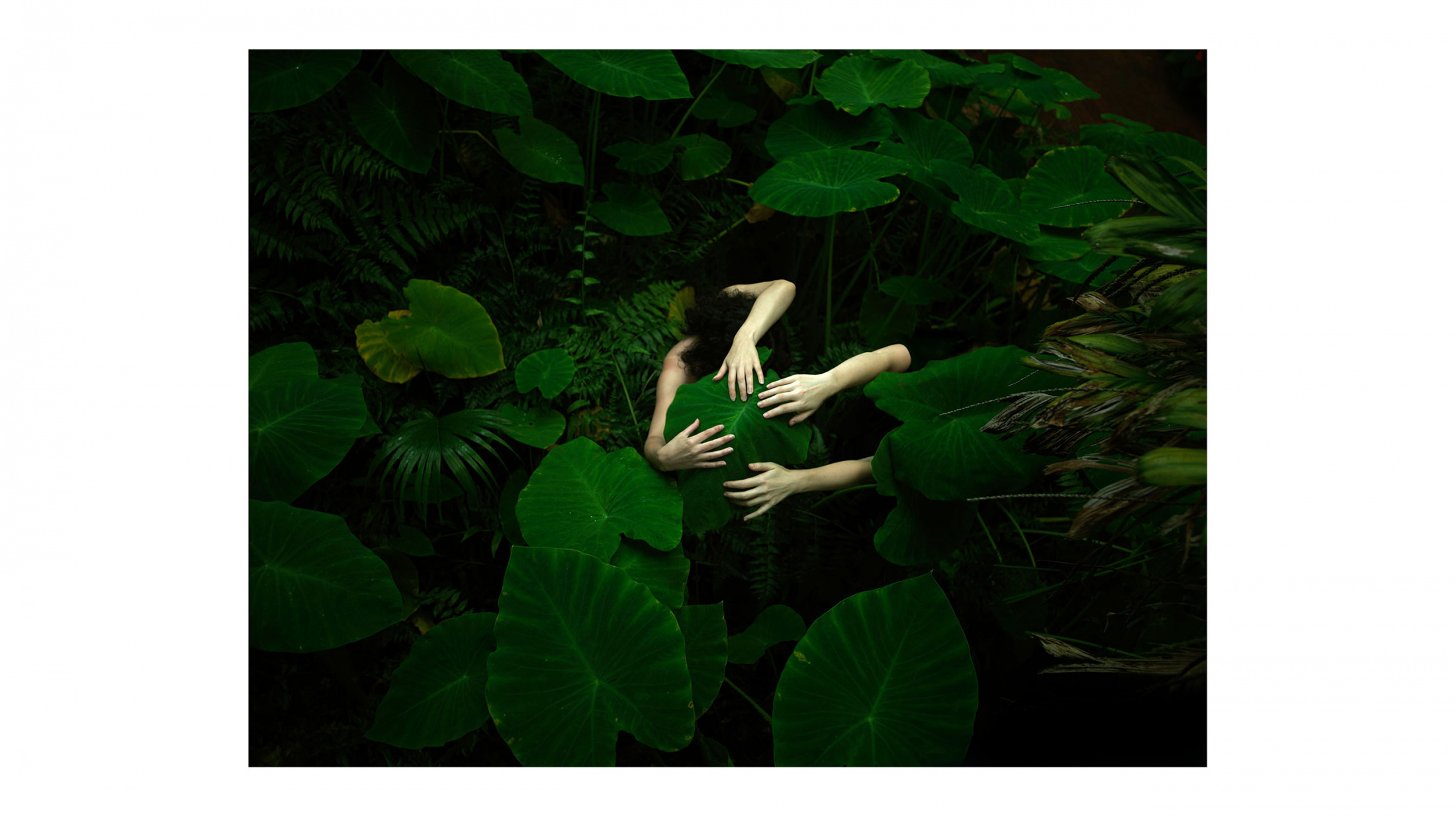 2200x1235 Women Shaking Up The Australian Art Scene