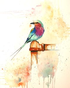 236x299 Best Colored Pencil Drawings Images Colouring Pencils, Color