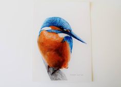 236x171 Best Colored Pencil Images Pencil Drawings, Colouring