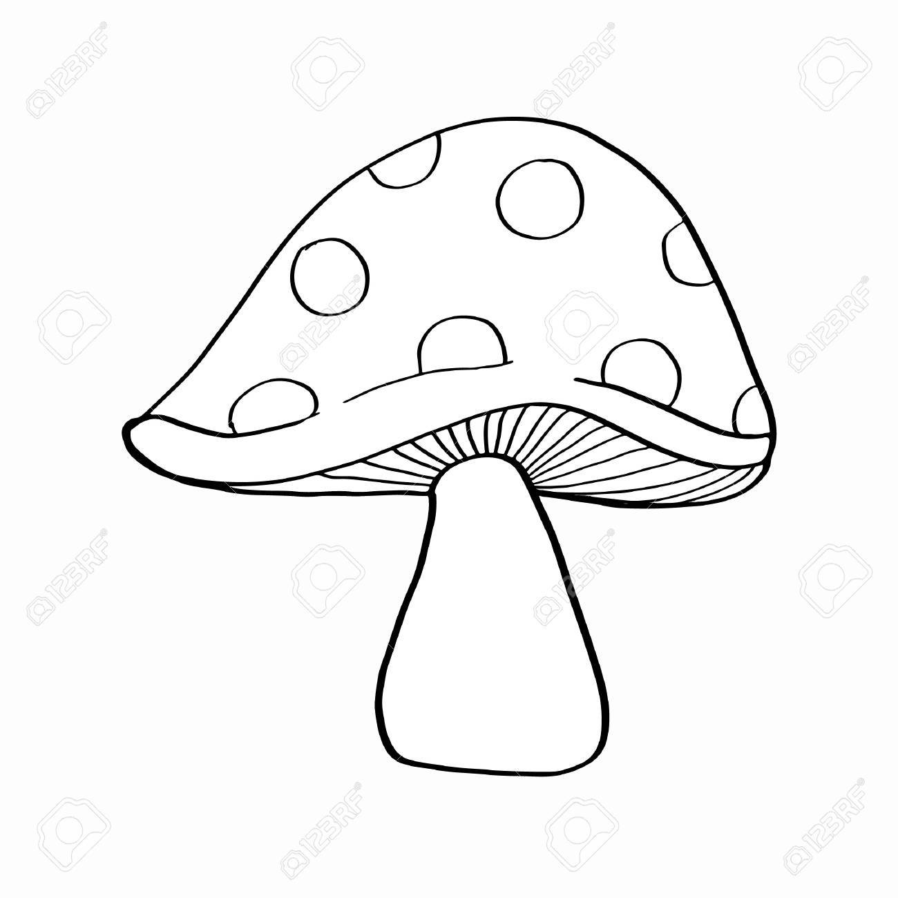 1300x1300 Mushroom Clipart Outline