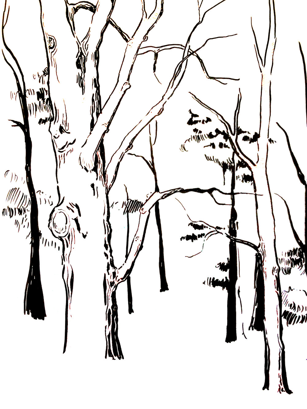 1000x1333 Illustration Julie Griffin